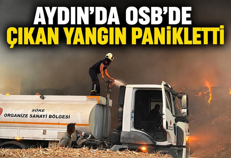 Aydın'da OSB’de çıkan yangın panikletti