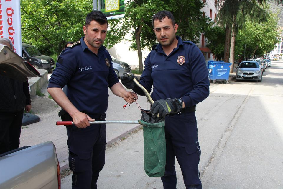 OTOMOBİLİN İÇİNE GİREN 1,5 METRELİK YILANI İTFAİYE ERLERİ YAKALADI