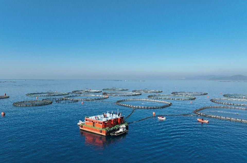 Aydın’da su ürünleri destekleme başvuruları başladı
