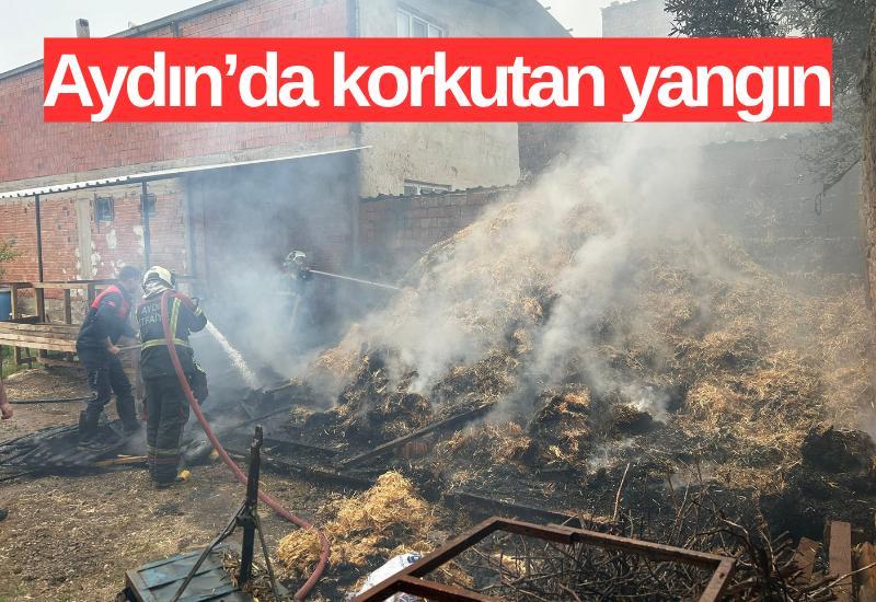 Aydın’da korkutan yangın