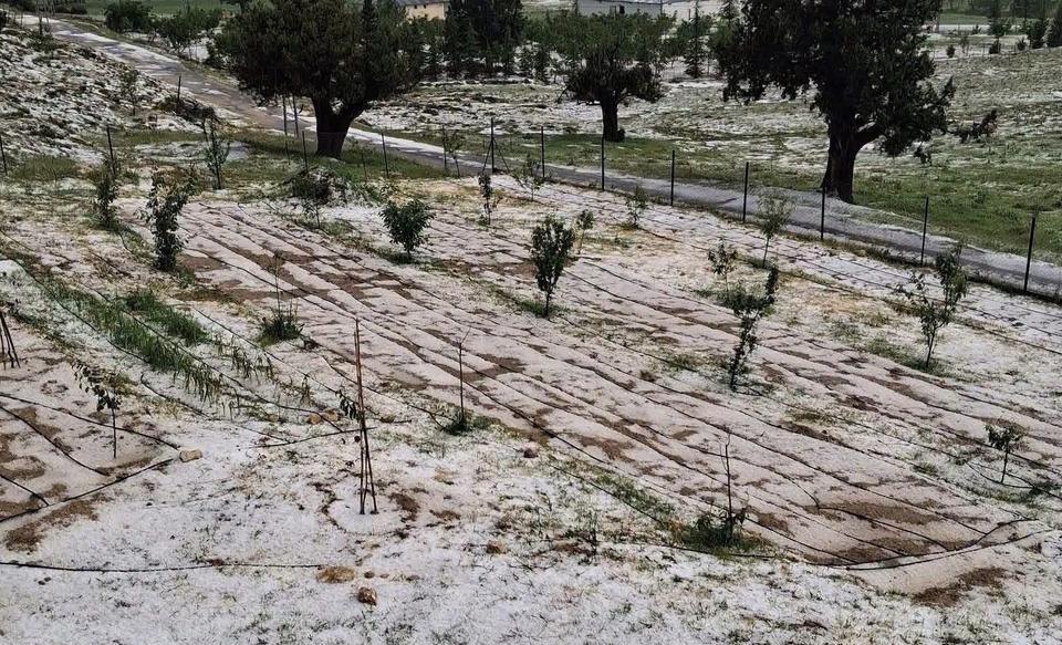 Dolu tarım alanlarına zarar verdi