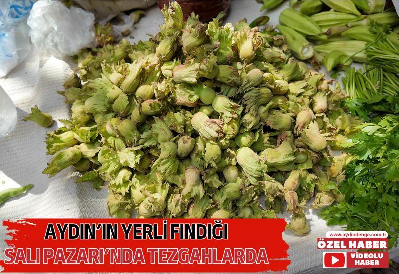Aydın'ın yerli fındığı Salı Pazarı’nda tezgâhlarda