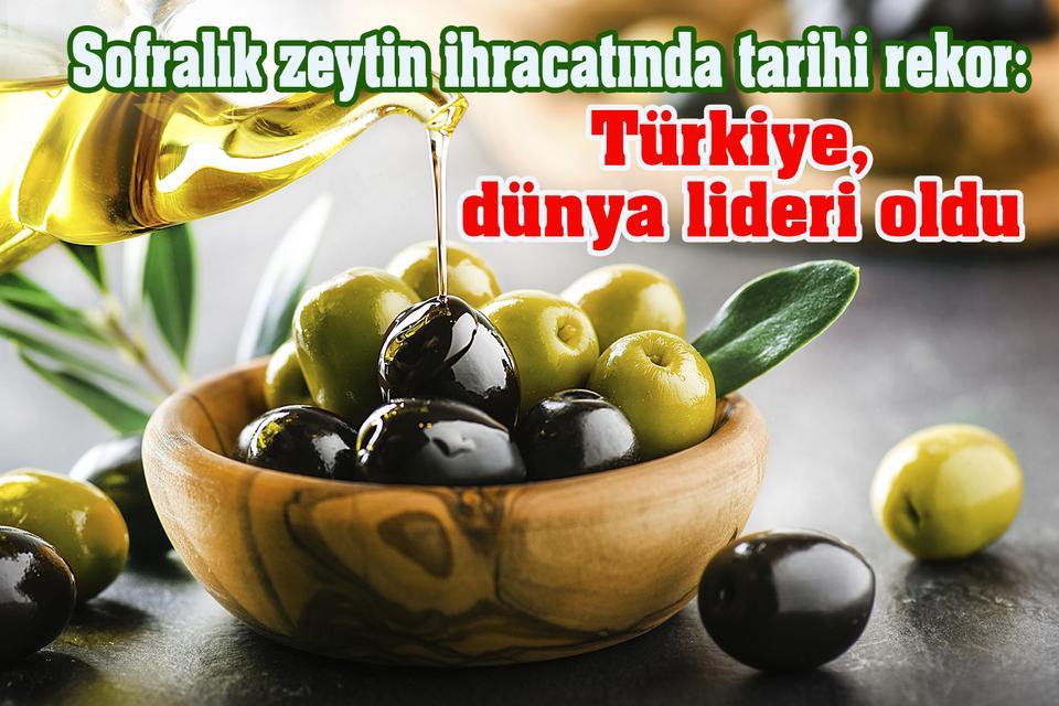 Sofralık zeytin ihracatında tarihi rekor: Türkiye, dünya lideri oldu