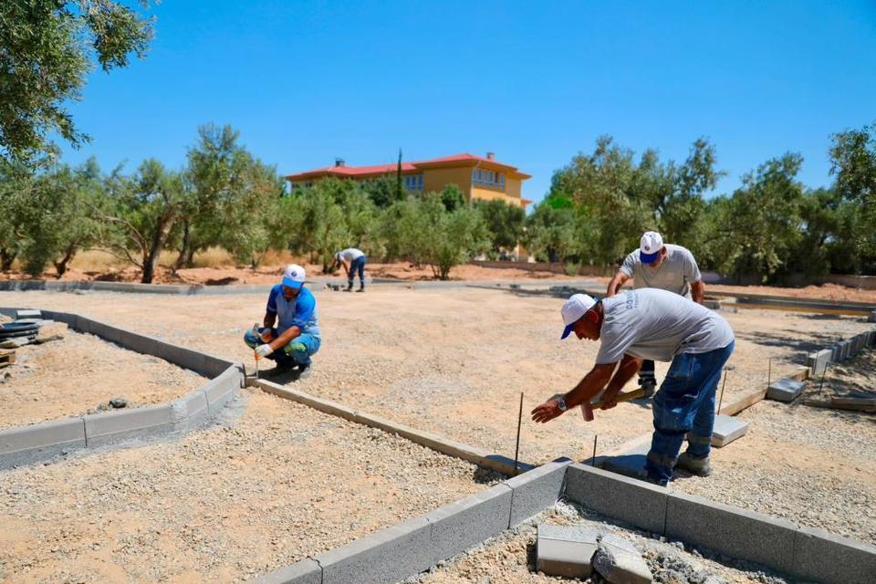 Didim'de Zeytin Park Projesi hayata geçirilecek