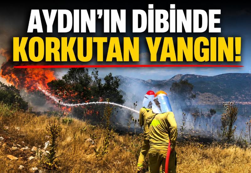 Aydın'ın dibinde korkutan yangın!
