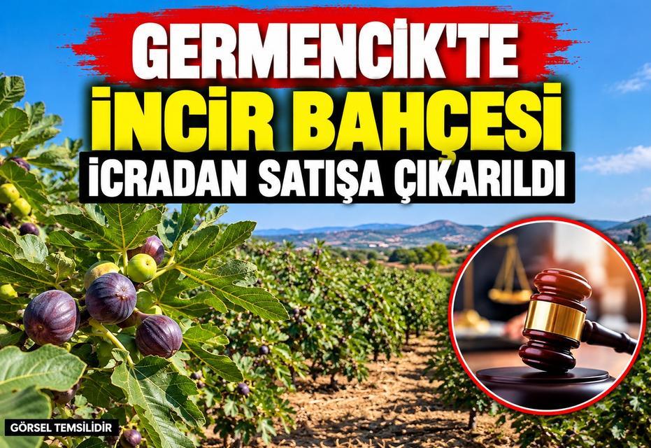 Germencik’te incir bahçesi icradan satışa çıkarıldı