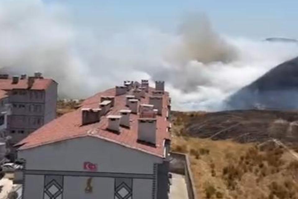 Aydın'da otluk yangını korkuttu
