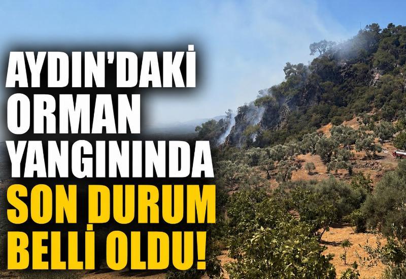 Aydın’daki orman yangınında son durum belli oldu!