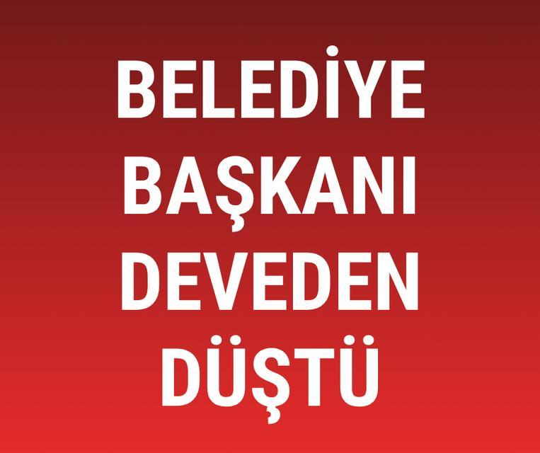 Belediye Başkanı deveden düştü