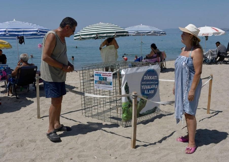 Kuşadası'nda ilk caretta caretta yuvası belirlendi