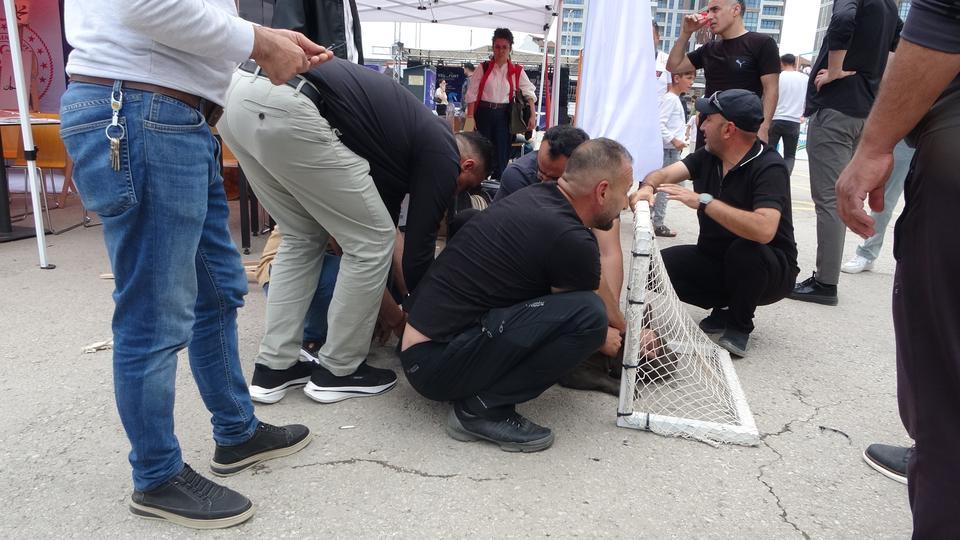Etkinlikte pitbull dehşeti: Bir kadın yaralandı