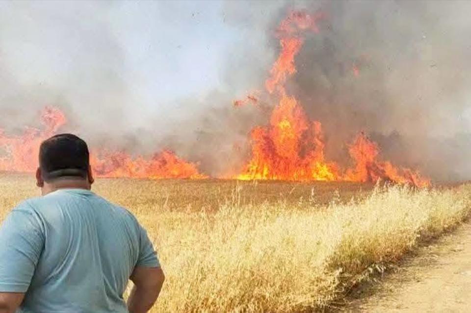 Buğday tarlasında korkutan yangın