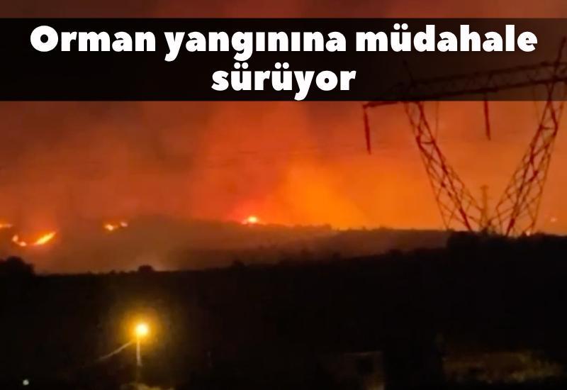 Orman yangınına müdahale sürüyor