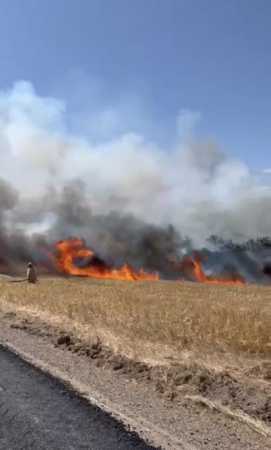 ÇANAKKALE'DE TARIM ARAZİSİNDE YANGIN ÇIKTI