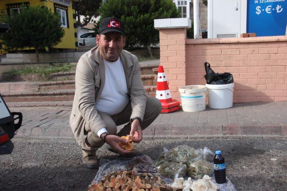 Aydın’da mantar satıcısından toplama uyarısı