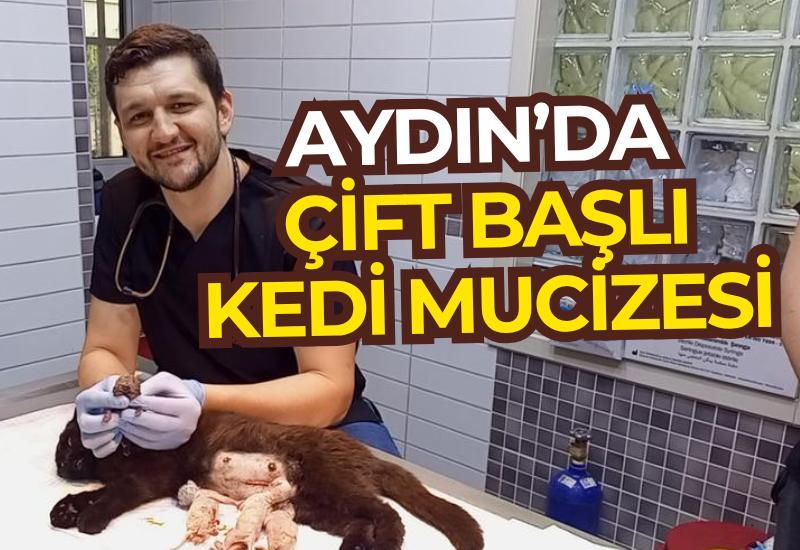 Aydın’da zorlu doğum mucizesi: Çift başlı yavru şaşkınlık yarattı
