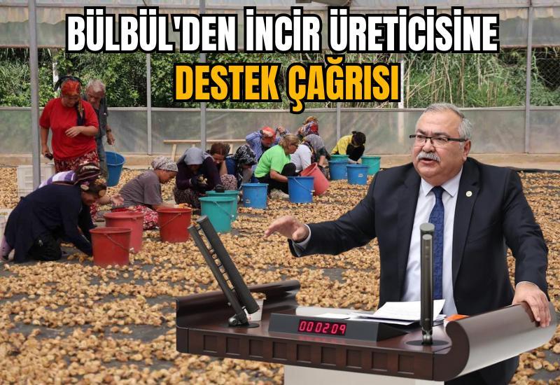 Bülbül'den incir üreticisine destek çağrısı