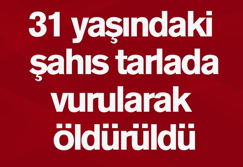 31 yaşındaki şahıs tarlada vurularak öldürüldü