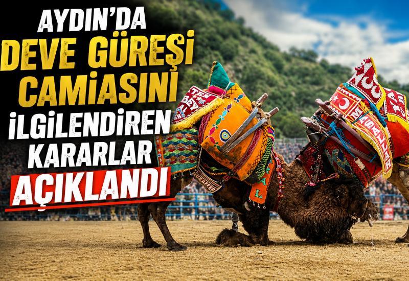 Aydın’da deve güreşi camiasını ilgilendiren kararlar açıklandı
