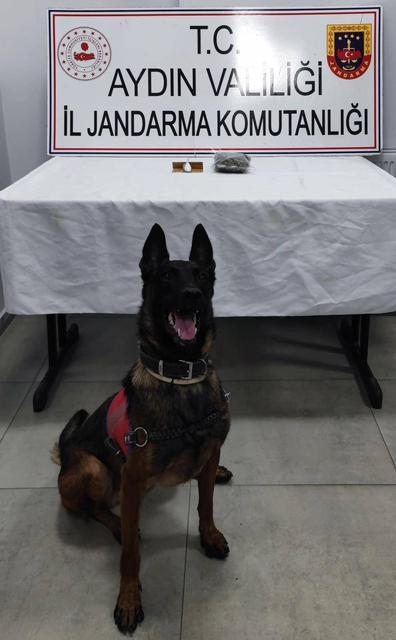 Aydın’da şüpheli araçta kokain ve esrar ele geçirildi