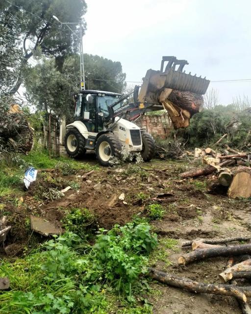 İNCİRLİOVA'DA MEZARLIKLARDA DEVRİLEN AĞAÇLAR KALDIRILIYOR