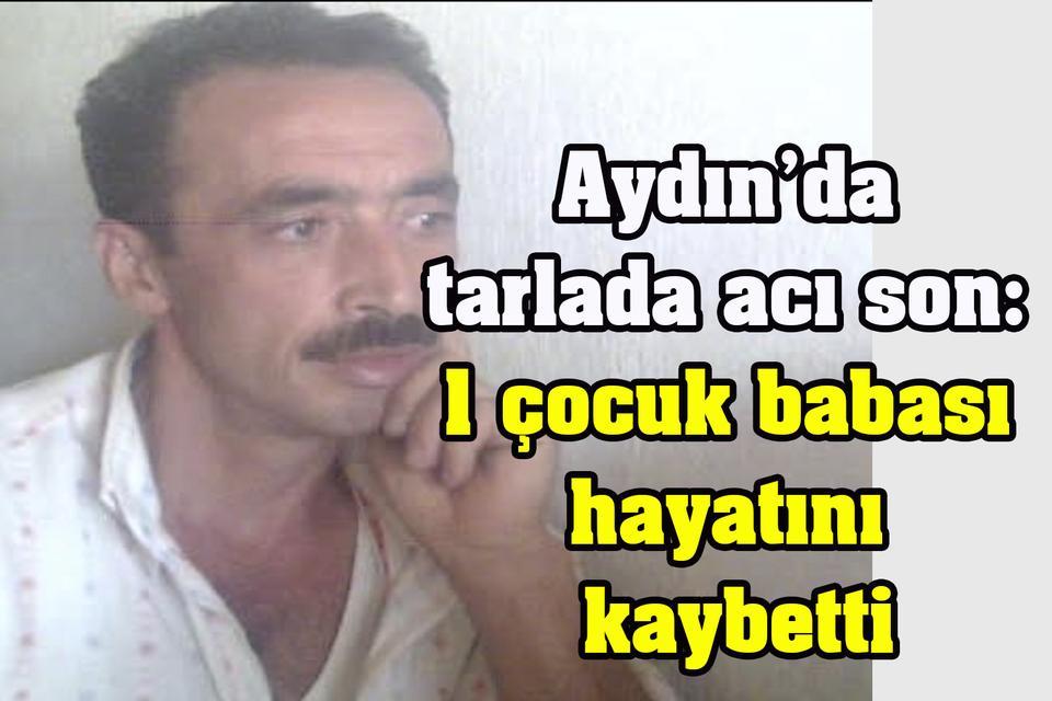 Aydın’da tarlada acı son: 1 çocuk babası hayatını kaybetti