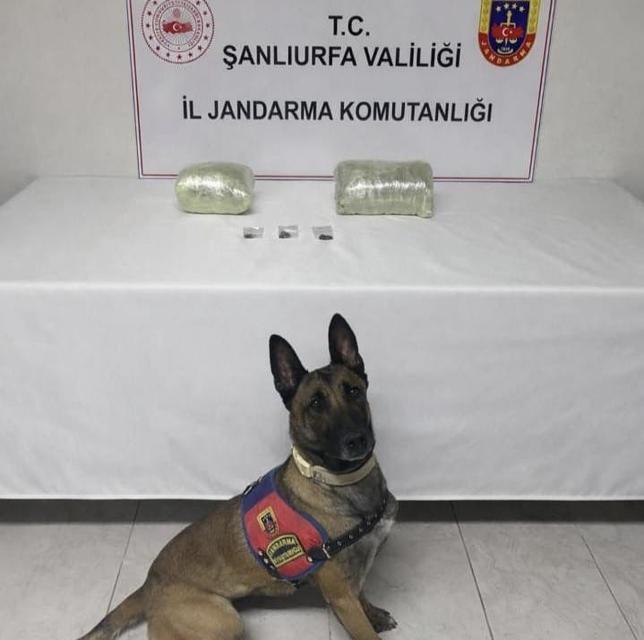 2 kilo kubar esrar ele geçirildi: 1 gözaltı