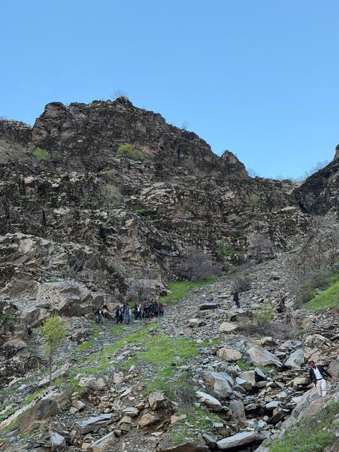 Pancar toplarken ölümden döndü