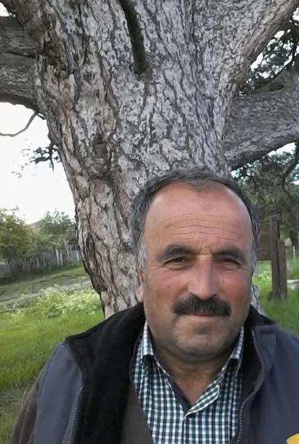 Üzerine ağaç devrilen vatandaş hayatını kaybetti