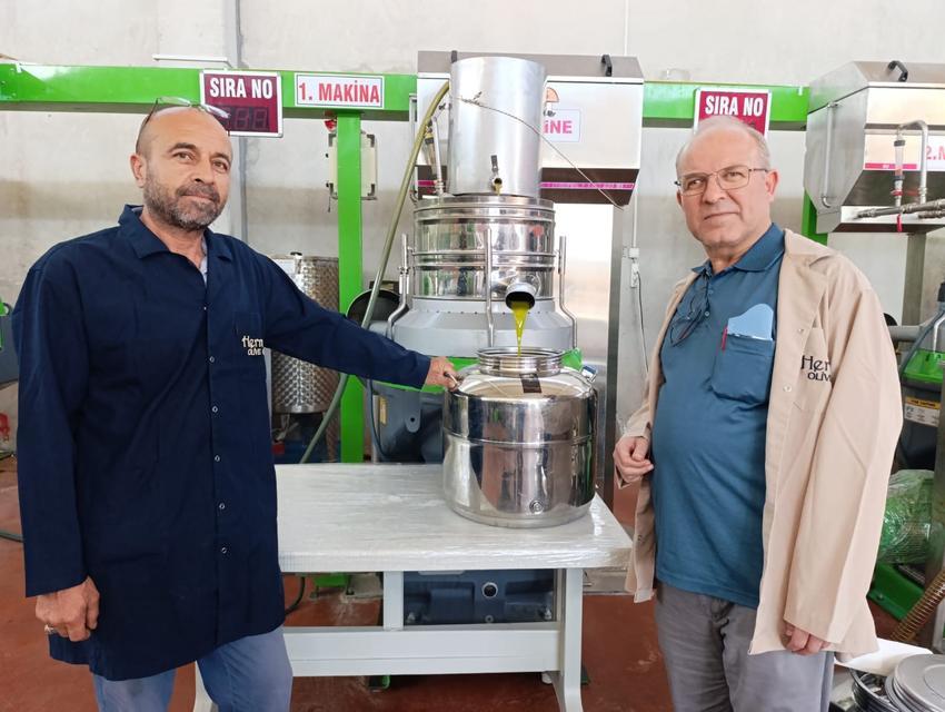 Zeytin sıkım sezonu başladı