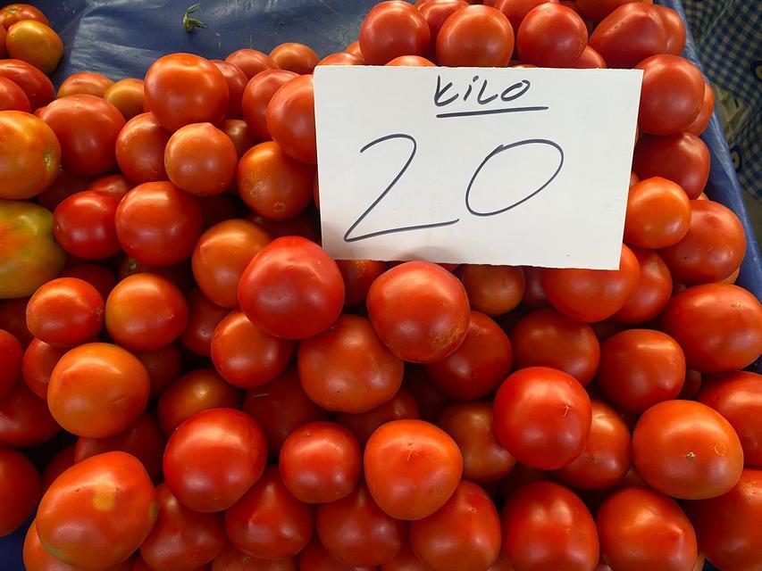 Çine Perşembe Pazarı'nda fiyatlar vatandaşın gündeminde