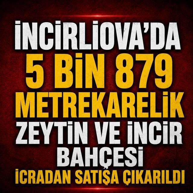 İncirliova’da 5 bin 879 metrekarelik zeytin ve incir bahçesi icradan satışa çıkarıldı