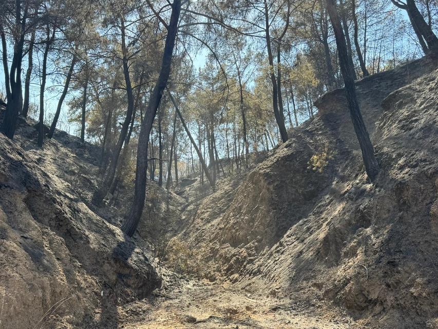 EVİNİ YANGINDAN KORUMAK İÇİN MÜCADELE EDERKEN KALP KRİZİ GEÇİRDİ