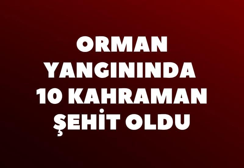 Orman yangınında 10 kahraman şehit oldu