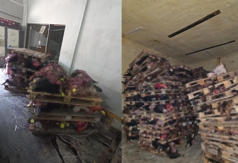 Ruhsatsız iş yerinde istiflenmiş hayvan kafaları bulundu