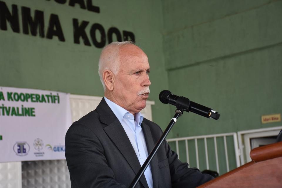 Germencik'te sezonun ilk zeytin sıkımı yapıldı