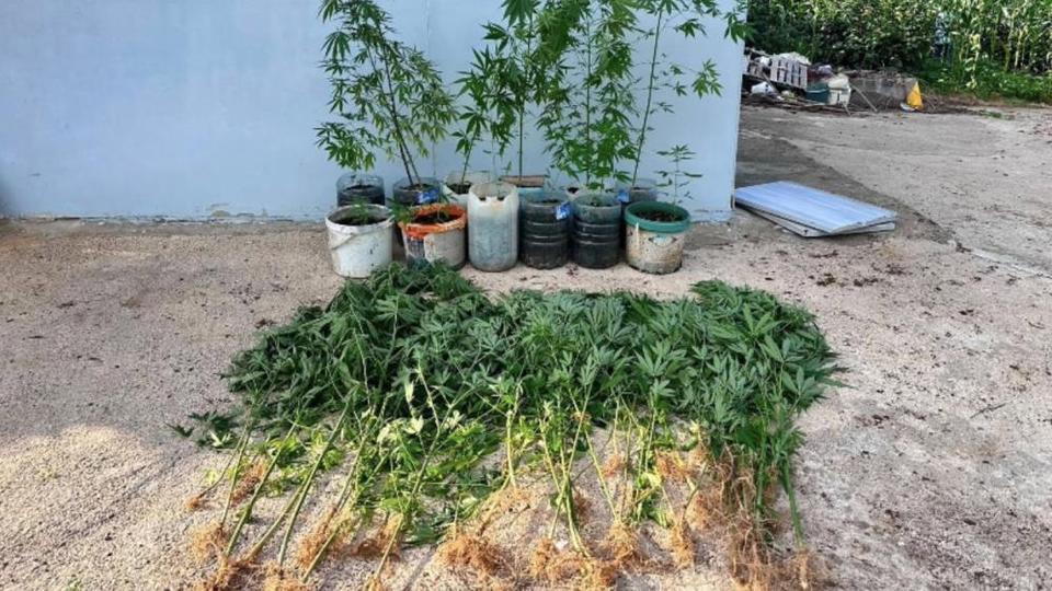 Salıpazarı'nda uyuşturucu operasyonu