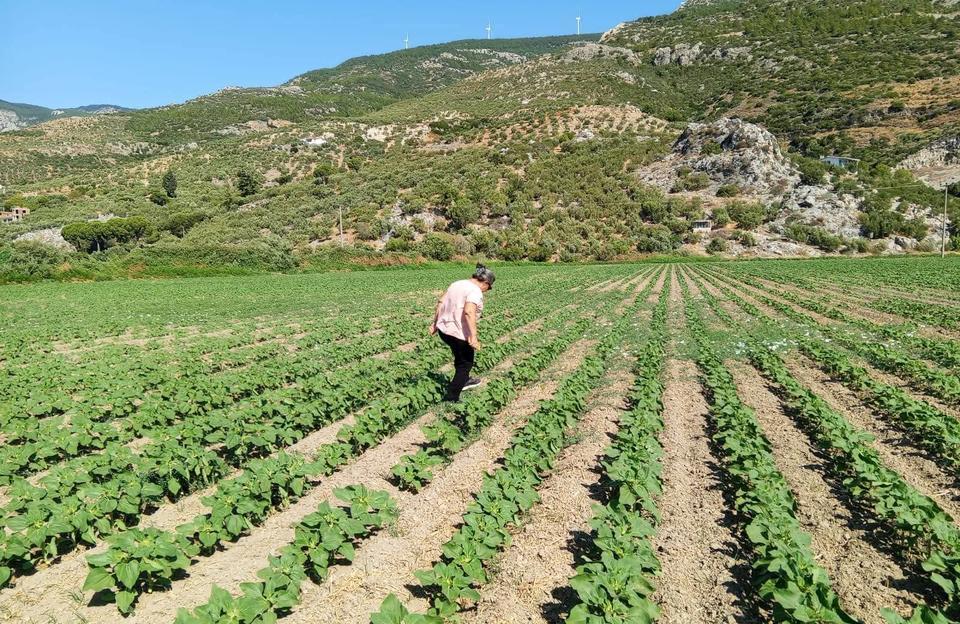 Güllübahçe’de arazi tespiti yapıldı