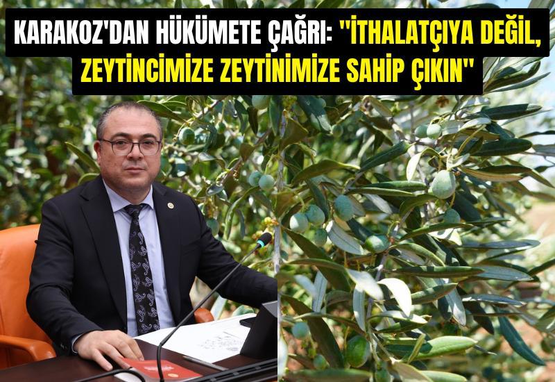 Karakoz'dan hükümete çağrı: "İthalatçıya değil, zeytincimize zeytinimize sahip çıkın"