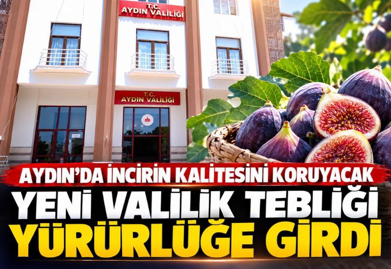 Aydın'da incirin kalitesini koruyacak yeni Valilik tebliği yürürlüğe girdi