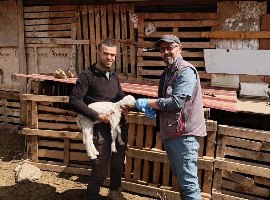 Söke’de küçükbaş hayvanlar aşılandı