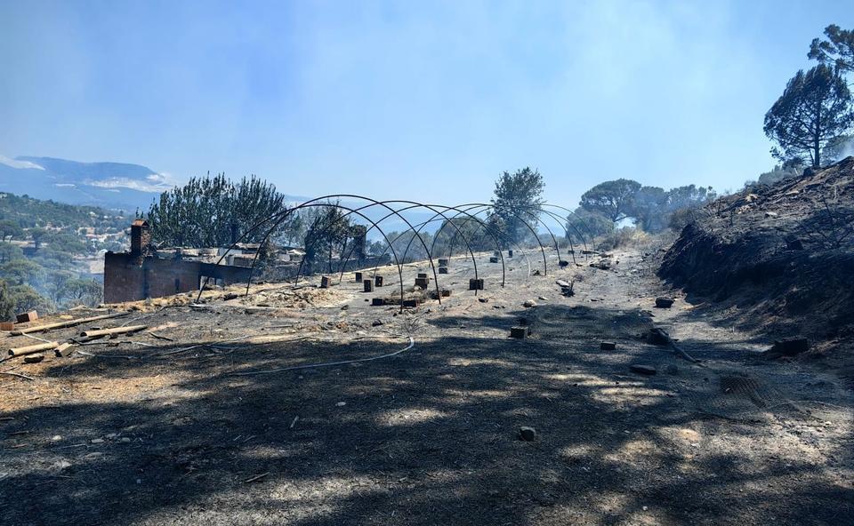 BOZDOĞAN'DA HASAR TESPİT ÇALIŞMALARI BAŞLADI