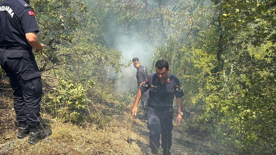 Ormanlık alanda yangın başladı