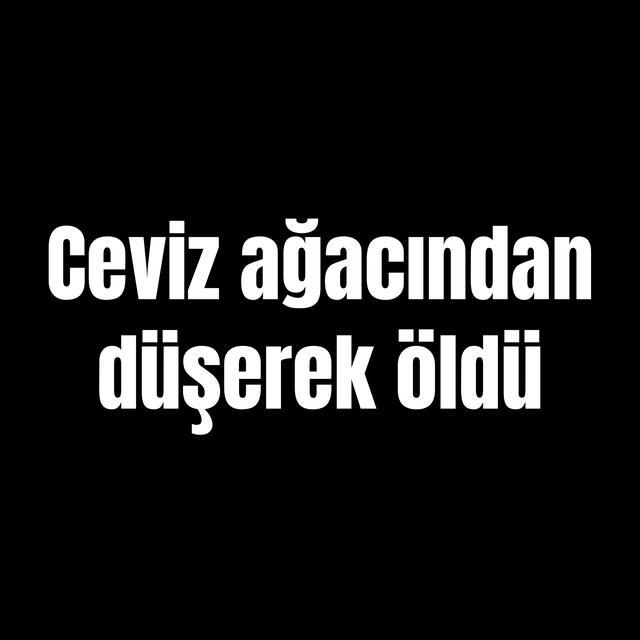 Ceviz ağacından düşerek öldü