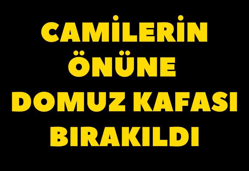 Camilerin önünde domuz kafası bırakıldı