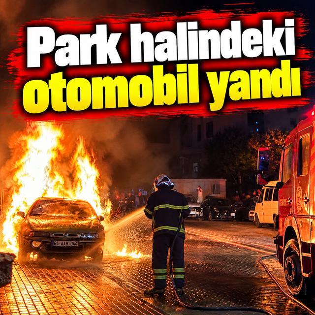 Park halindeki otomobil yandı
