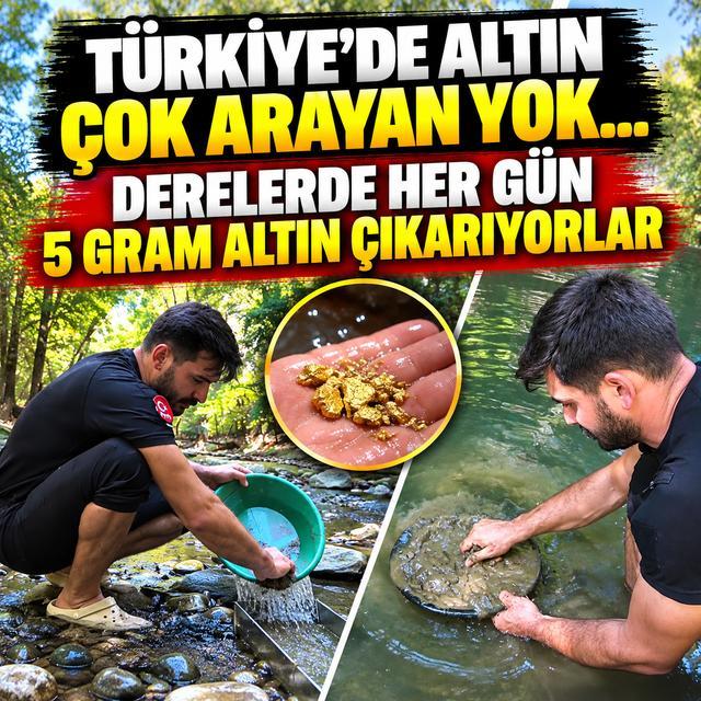 Türkiye'de altın çok arayan yok... Derelerde her gün 5 gram altın çıkarıyorlar