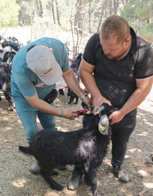 Aydın’da 900 rakımda sağlık seferberliği