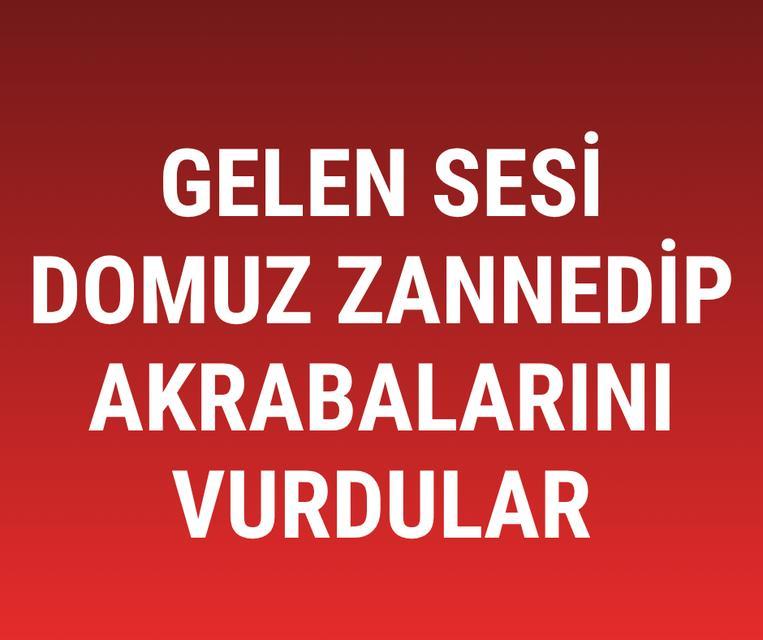 Gelen sesi domuz zannedip akrabalarını vurdular