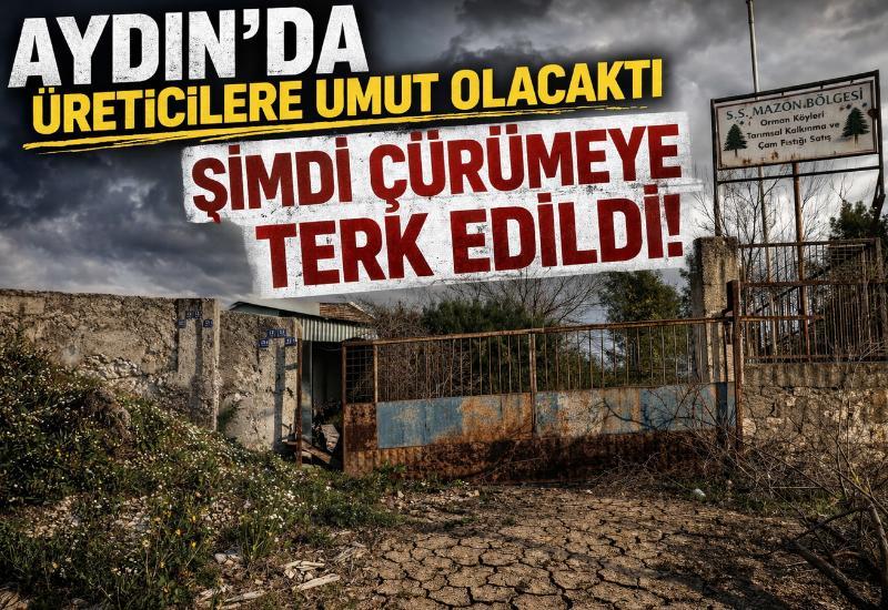 Aydın'da üreticilere umut olacaktı, şimdi çürümeye terk edildi